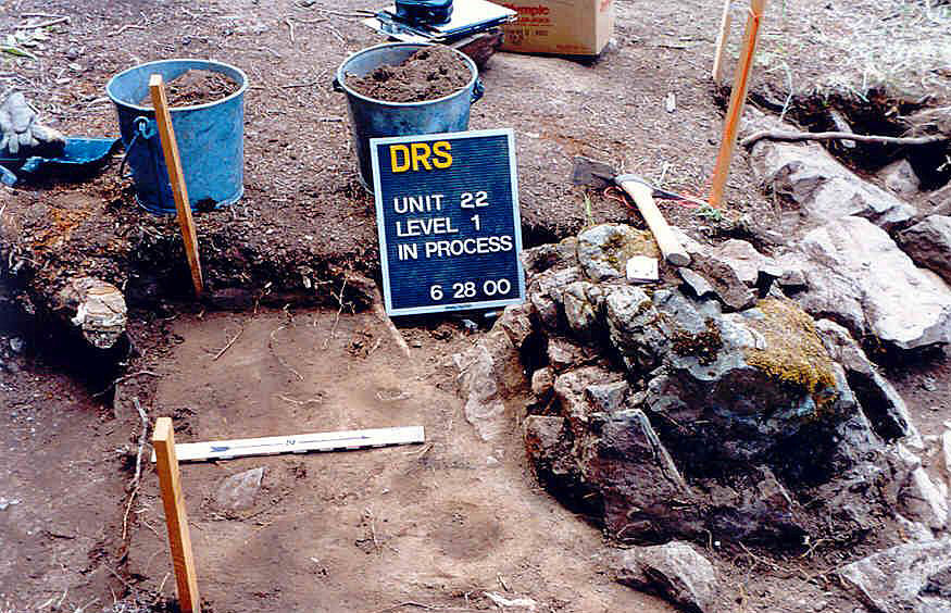 Dig unit